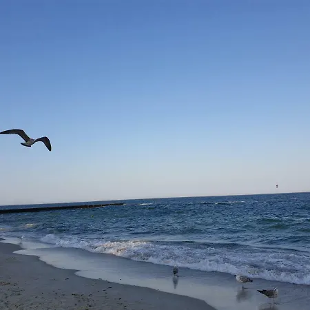 Апартаменты Premium Seaview 50 Meters From The роскошные с прямым видом на море в 50 метрах от пляжа Cf *