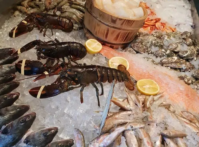 Premium Seaview 50 Meters From The роскошные с прямым видом на море в 50 метрах от пляжа Cf Одесса