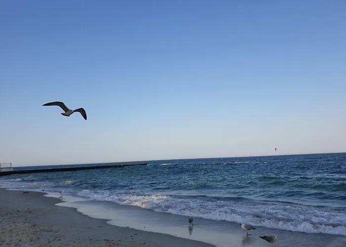 Апартаменты Premium Seaview 50 Meters From The роскошные с прямым видом на море в 50 метрах от пляжа Cf *